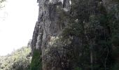 Trail Walking Callas - gorge de Penafore - Photo 3