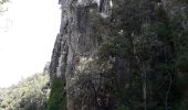 Excursión Senderismo Callas - gorge de Penafore - Photo 3