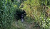 Tour Wandern Carrara - CR_Francigena_CI_32_Carrare-Avenza_Massa_20220615 - Photo 13