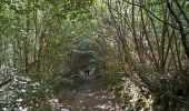 Trail Walking Hotton - Ménil Favay - Photo 15