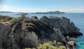 Tocht Stappen Hyères - Tour de la Presqu'île de Giens-05-04-23 - Photo 7