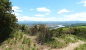 Trail Walking Toulaud - Château de Crussol par Meyret - Photo 10