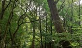 Tour Wandern Bergen - Lieu dit le Bois brûlé  - Photo 5