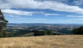 Tour Wandern Saint-Léger-sous-Beuvray - Oppidum de Bibracte - Photo 6