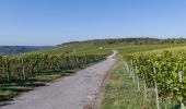 Trail On foot Randersacker - Kulturweg 