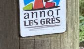 Randonnée Marche Annot - J4 Annot - Photo 11