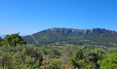 Randonnée Marche La Farlède - La farlède-Tourris - Photo 3