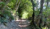 Trail Walking Landry - Landry... Circuit des Poussettes - Photo 1
