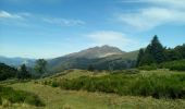 Randonnée Marche Prades - Autour du Chioula - Photo 3