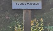 Trail Walking Orbey - Autour du Linge - Photo 14