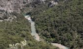 Trail Walking La Palud-sur-Verdon - les malines au point sublime - Photo 2