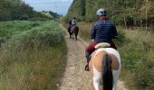 Tocht Paardrijden Theux - La Reid Les Cours - Photo 8