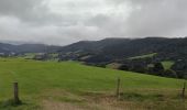 Tour Mountainbike Urbach bei Kaysersberg - Fréland Col des Bagenelles - Photo 1