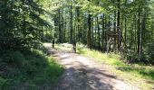 Trail Mountain bike Chantraine - Cool - Photo 1