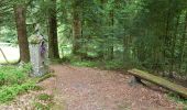 Tocht Noords wandelen Gérardmer - ramonchamp. observatoire de merelle, saut de la bourrique  - Photo 4