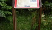 Percorso A piedi East Suffolk - Rendlesham Forest UFO Trail - Photo 4