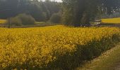 Tour Wandern Chermignac - chermignac retau - Photo 1