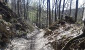 Randonnée Marche Theux - neufmarteau . trou colas . royonpré . neufmarteau  - Photo 6
