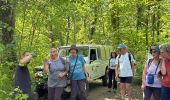 Trail  Yerres - BM boucle 2 rivières - Photo 6