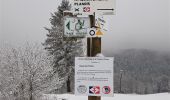 Percorso Racchette da neve Cornimont - Raquettes Chalet des Charmes - Photo 3