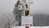 Tocht Sneeuwschoenen Cornimont - Raquettes Chalet des Charmes - Photo 3