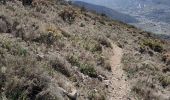 Trail Walking Alhama de Granada - Ventas de Zafarraya  - Photo 2