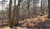 Tour Wandern Auffargis - Yvelines_Vaux-de-Cernay_Ferme-des-Vallées_Abbaye_ND-des-Roses - Photo 3