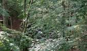 Trail On foot Eupen - Gastrowalk Eupen - Photo 5