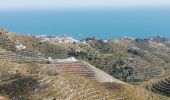 Tour Wandern Almuñécar - Hauts de Almuñecar  - Photo 1