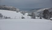 Tour Zu Fuß Meschede - Wanderweg Freienohl-Hellefeld - Photo 5