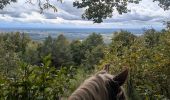Trail Horseback riding Obersteinbach - suuntoapp-HorsebackRiding-2024-10-01T07-38-54Z - Photo 3