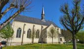 Tour Wandern Coteaux-sur-Loire - Saint-Michel-sur-Loire - GRP Coteaux de Bourgueil Saint-Patrice - 21.7km 240m 4h45 (35mn) - 2023 04 19 - Photo 5