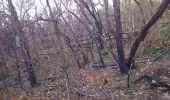Percorso Marcia Vaire - arcier sources - Photo 4