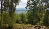 Tour Wandern Markirch - Col du Haut de Ribeauvillé - Rochers des Géants (Rother n°31) - Photo 5