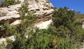 Randonnée Marche Gémenos -  Tuny par le Vallon des Seignors - Photo 2