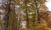 Trail Walking Saint-Germain-en-Laye - Château du Val 24 11 2019 - Photo 3