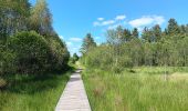 Tour Wandern Vielsalm - fraiture - plateau des tailles  - Photo 13