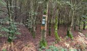 Trail Walking Bouillon - Bellevaux 190923 - Photo 6