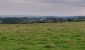 Tour Wandern Beauraing - Honnay 140921 - Photo 6