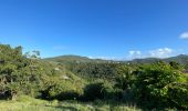 Tour Wandern Le Diamant - Grottes marines Diamant  - Photo 14