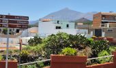 Tour Wandern El Tanque - Boucle volcan Chinyero à Tenerife  - Photo 1