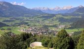 Tour Zu Fuß Roßleithen - Naturspuren-Wanderweg - Photo 5