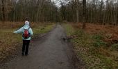 Trail Walking Charleroi - mont sur marchienne dans les bois - Photo 8