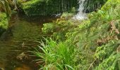 Trail Walking Bad Peterstal-Griesbach - Buhlbachsee & Lotharpfad - Photo 18