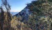 Trail Walking La Garde-Freinet - les roches blanches - La Garde Freinet - Photo 6