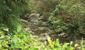 Randonnée Marche Les Avirons - sentier des ouvriers - Photo 15