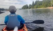 Randonnée Canoë - kayak Canet-de-Salars - Lac de Pareloup côté est - Photo 15