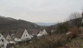 Tocht Te voet Beverungen - Rundweg Weser-Skywalk - Photo 5