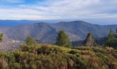 Tocht Stappen Aujac - Les drailles perdues - Photo 6