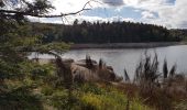 Trail Walking Badonviller - Tour du lac de Pierre-Percée depuis les cabanes du lac - Photo 16